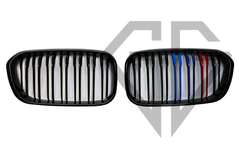 Решетка радиатора ноздри BMW F20 F21 (2015 – 2019) M-color