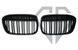 Решетка радиатора ноздри BMW Чёрный мат X1 F48 (2015-2019)