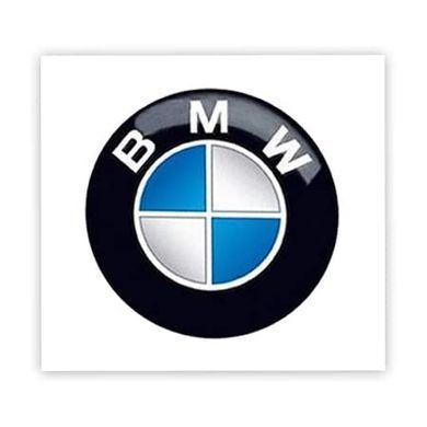 Наклейка на личинку замка BMW / 20 мм / E39 E46 E53 E60 E70 E90 F10